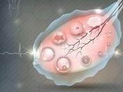 甘肃哪些医院的试管婴儿技术好？