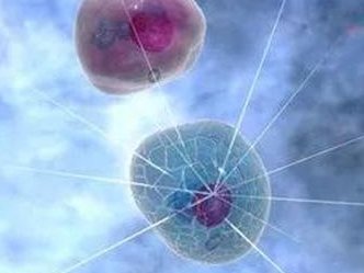 广东私立医院做三代试管婴儿可靠吗？附最新助怀孕成功率及注意事项